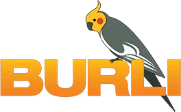 Burli Newshub